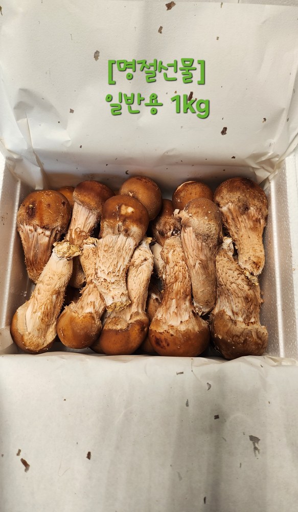 상세 이미지