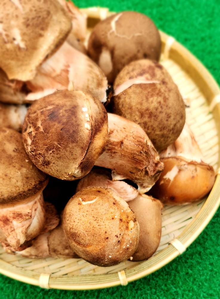 상세 이미지